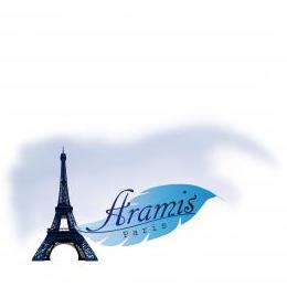 Aramis: Taxi & Sightseeing in Paris & France